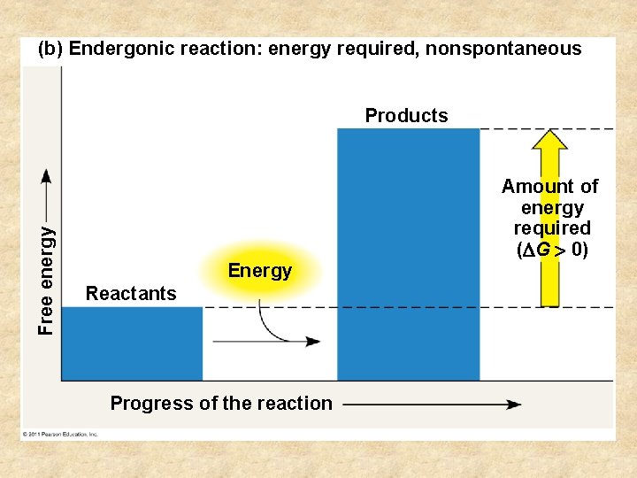 (b) Endergonic reaction: energy required, nonspontaneous Free energy Products Energy Reactants Progress of the