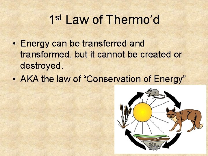 1 st Law of Thermo’d • Energy can be transferred and transformed, but it