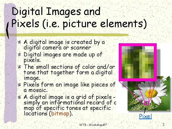 Digital Images and Pixels (i. e. picture elements) A digital image is created by