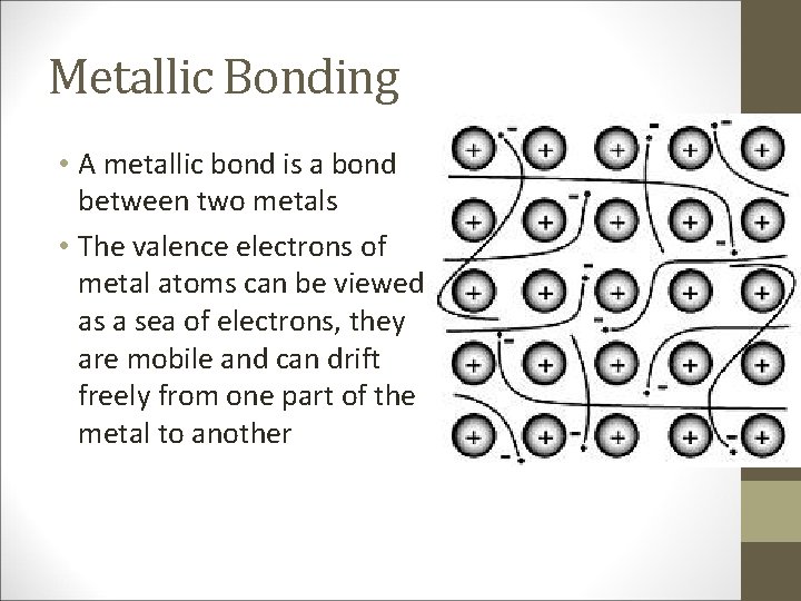 Metallic Bonding • A metallic bond is a bond between two metals • The