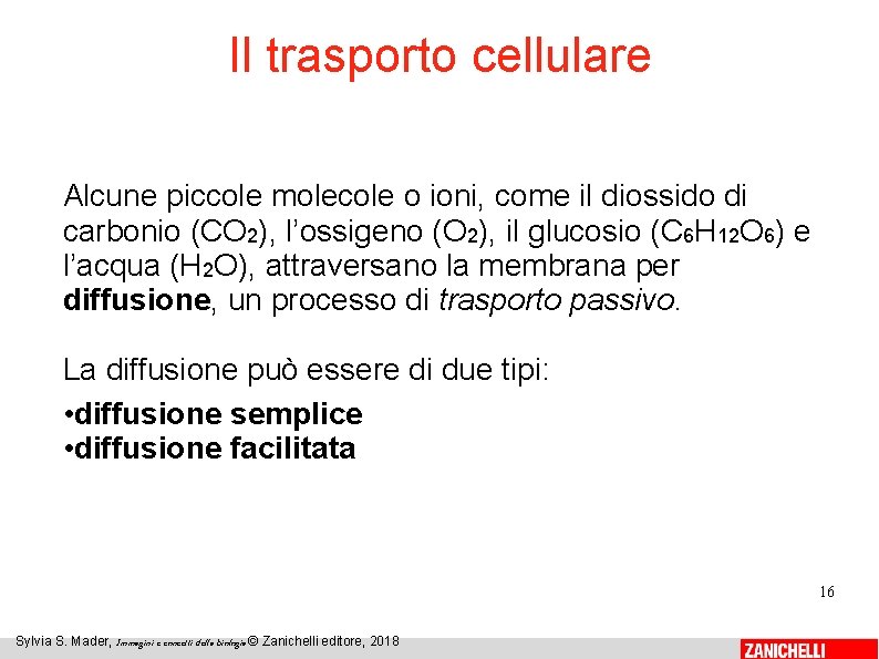 Il trasporto cellulare Alcune piccole molecole o ioni, come il diossido di carbonio (CO