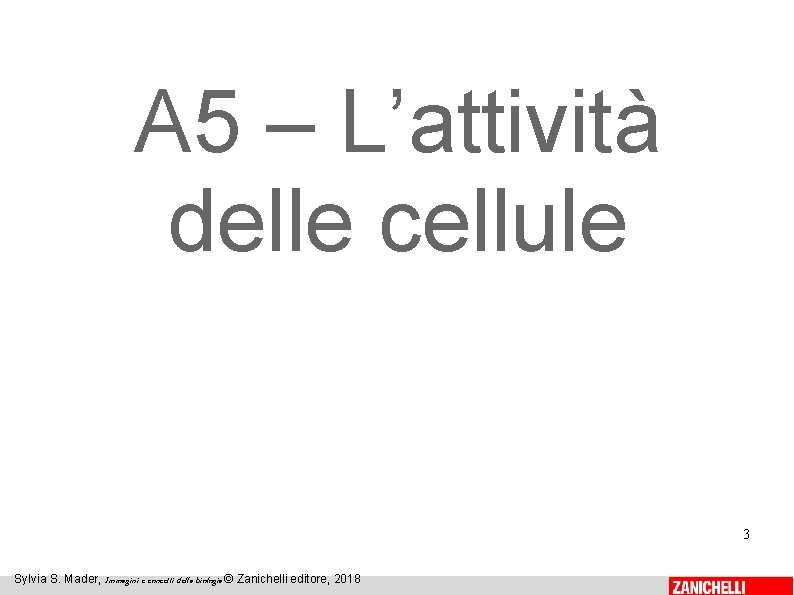 A 5 – L’attività delle cellule 3 Sylvia S. Mader, Immagini e concetti della