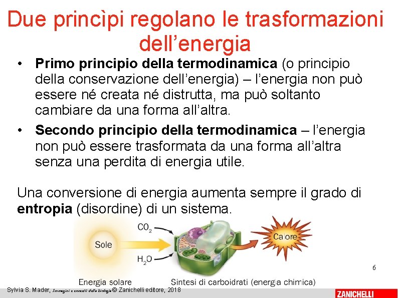 Due princìpi regolano le trasformazioni dell’energia • Primo principio della termodinamica (o principio della