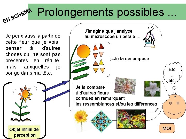 MA E H SC N E Prolongements possibles. . . Je peux aussi à