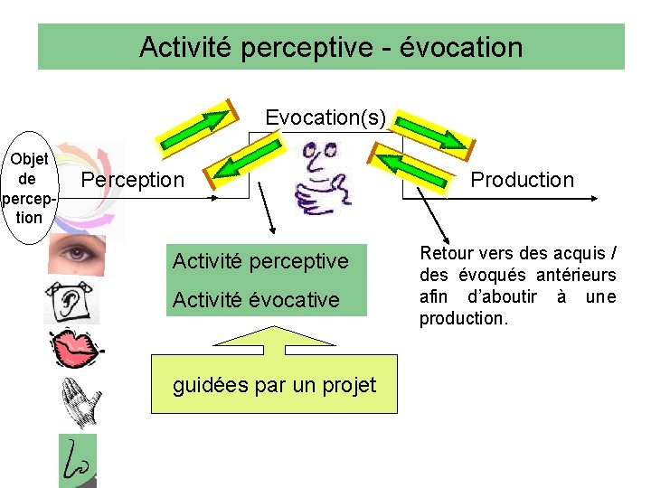 Activité perceptive - évocation Evocation(s) Objet de perception Perception Activité perceptive Activité évocative guidées