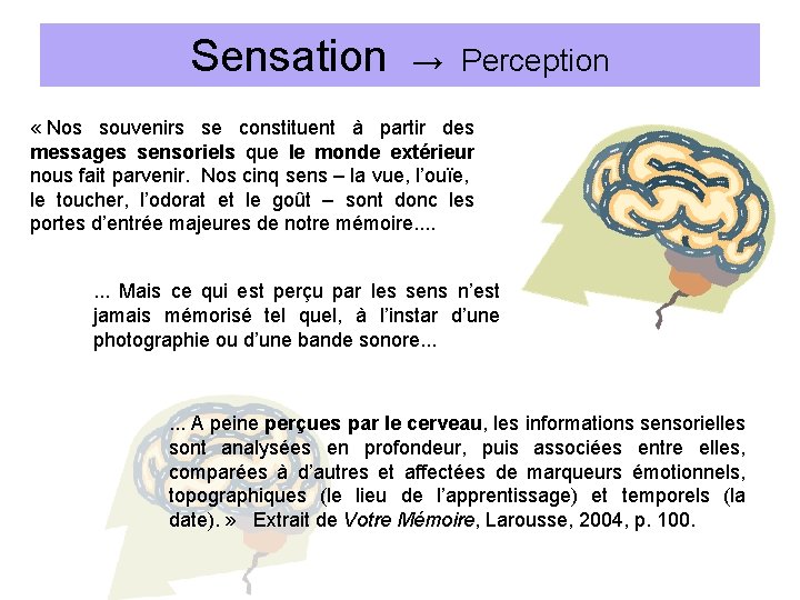 Sensation → Perception « Nos souvenirs se constituent à partir des messages sensoriels que