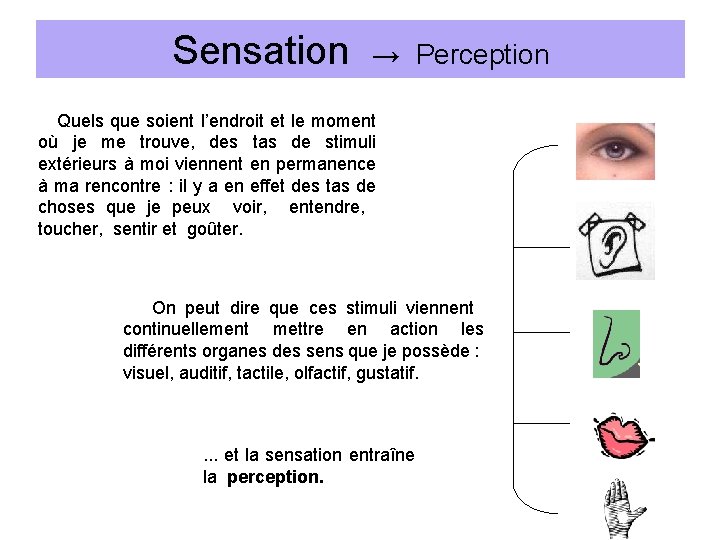 Sensation → Perception Quels que soient l’endroit et le moment où je me trouve,