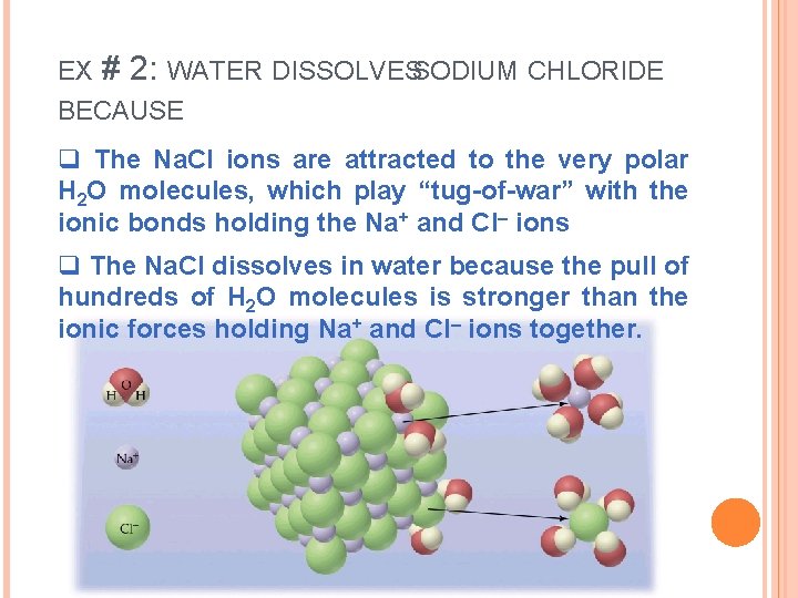 EX # 2: WATER DISSOLVESSODIUM CHLORIDE BECAUSE q The Na. Cl ions are attracted