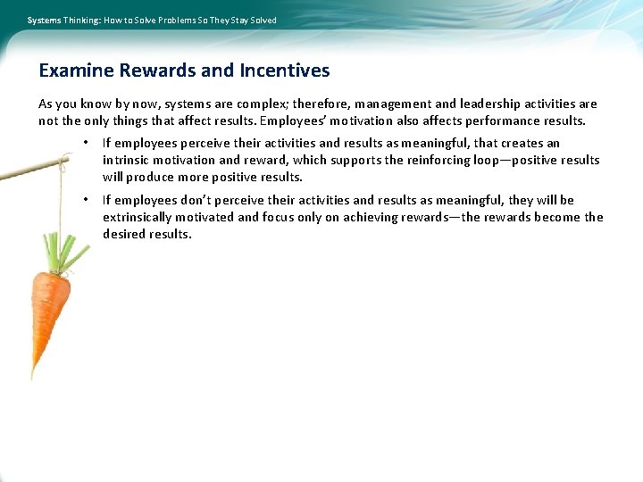 Systems Thinking: How to Solve Problems So They Stay Solved Examine Rewards and Incentives
