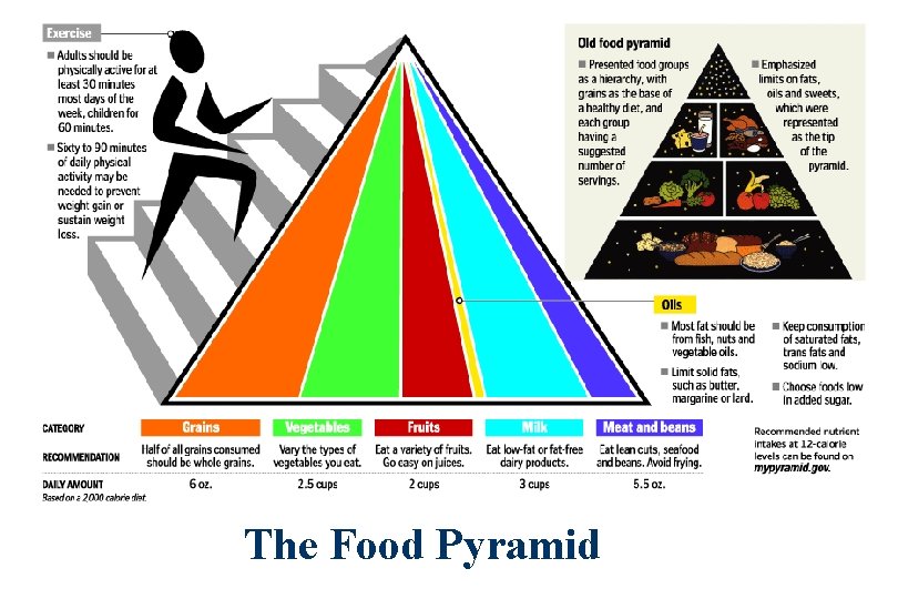 The Food Pyramid 