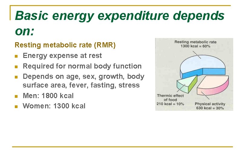 Basic energy expenditure depends on: Resting metabolic rate (RMR) n Energy expense at rest