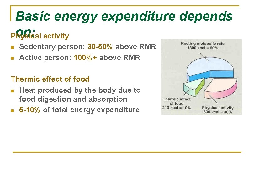 Basic energy expenditure depends on: activity Physical n n Sedentary person: 30 -50% above