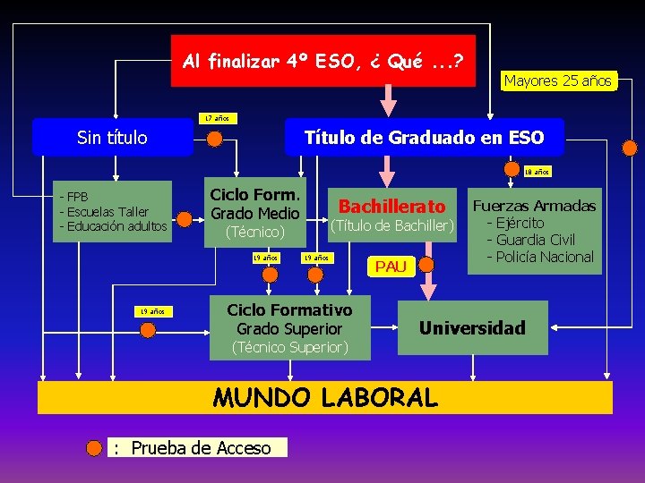 Al finalizar 4º ESO, ¿ Qué. . . ? Mayores 25 años 17 años
