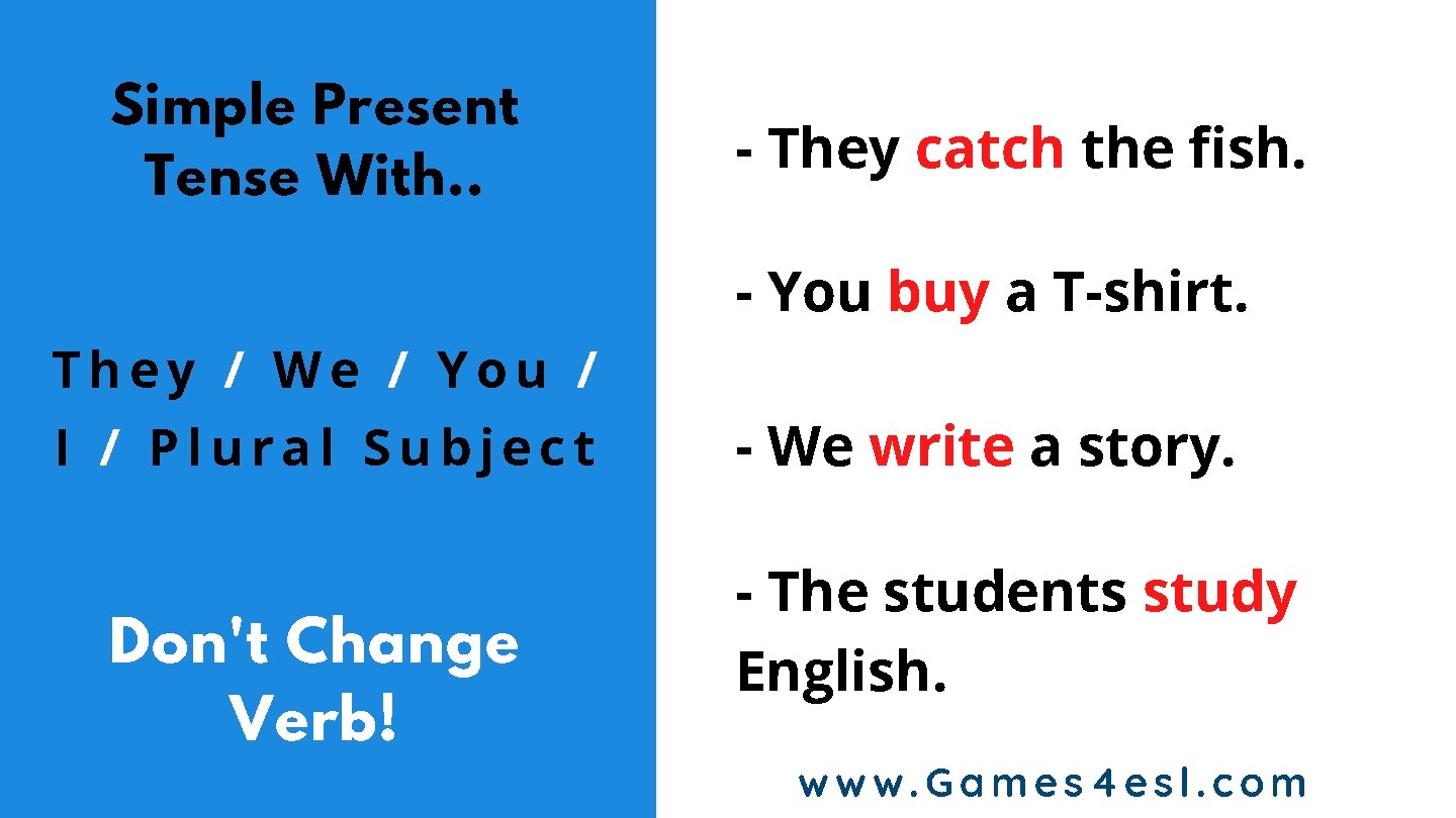 Simple Present Tense With. . - They catch the fish. - You buy a