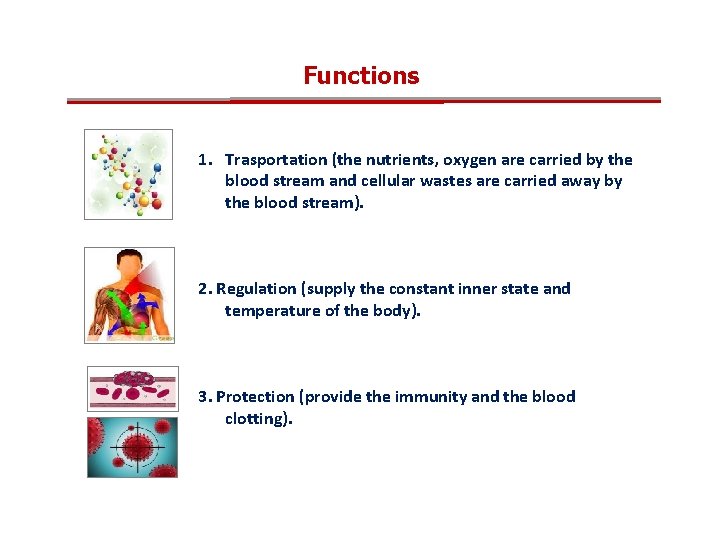 Functions 1. Trasportation (the nutrients, oxygen are carried by the blood stream and cellular