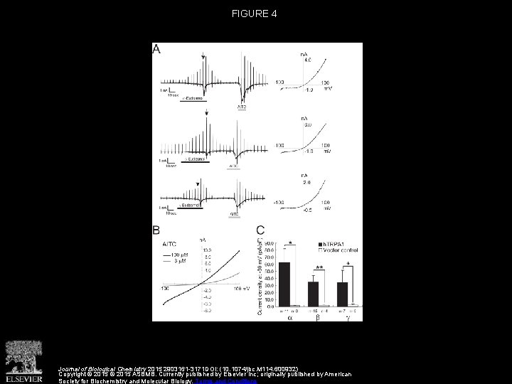 Identification of Significant Amino Acids in Multiple Transmembrane