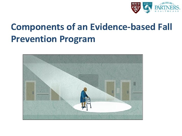 Components of an Evidence-based Fall Prevention Program 