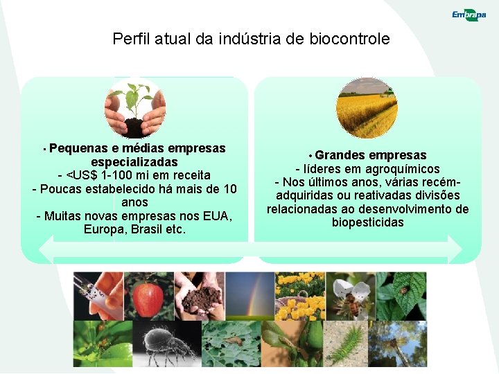 Perfil atual da indústria de biocontrole • Pequenas e médias empresas especializadas - <US$