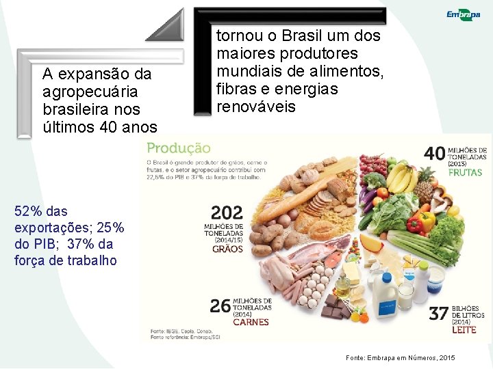 A expansão da agropecuária brasileira nos últimos 40 anos tornou o Brasil um dos