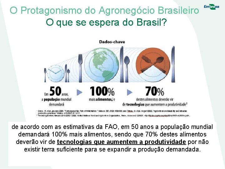 O Protagonismo do Agronegócio Brasileiro O que se espera do Brasil? de acordo com