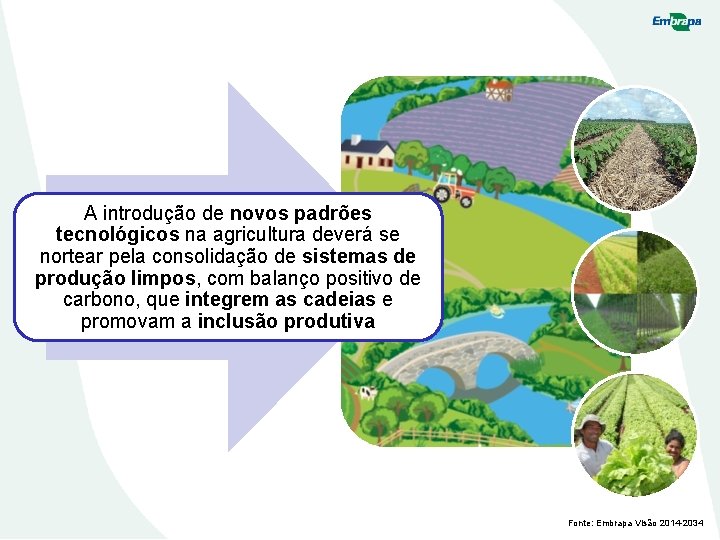 A introdução de novos padrões tecnológicos na agricultura deverá se nortear pela consolidação de