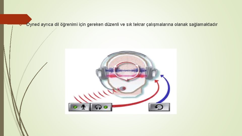  Dyned ayrıca dil öğrenimi için gereken düzenli ve sık tekrar çalışmalarına olanak sağlamaktadır