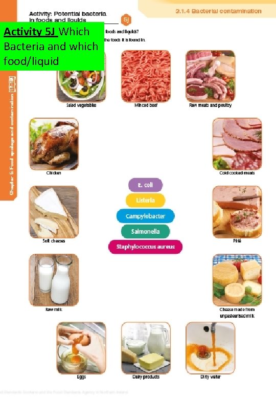 Activity 5 J Which Bacteria and which food/liquid 