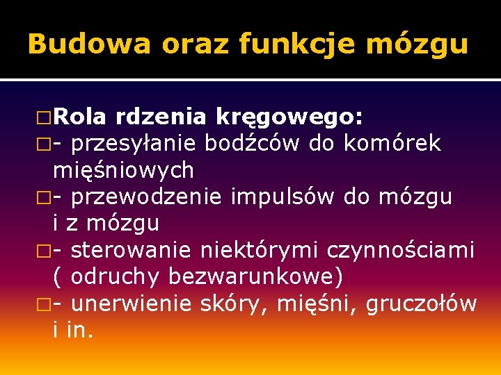 Budowa oraz funkcje mózgu �Rola rdzenia kręgowego: �- przesyłanie bodźców do komórek mięśniowych �-