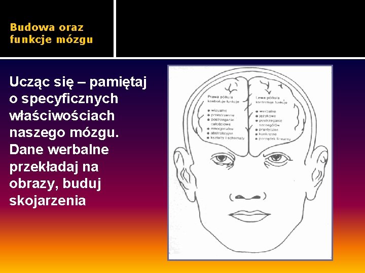 Budowa oraz funkcje mózgu Ucząc się – pamiętaj o specyficznych właściwościach naszego mózgu. Dane