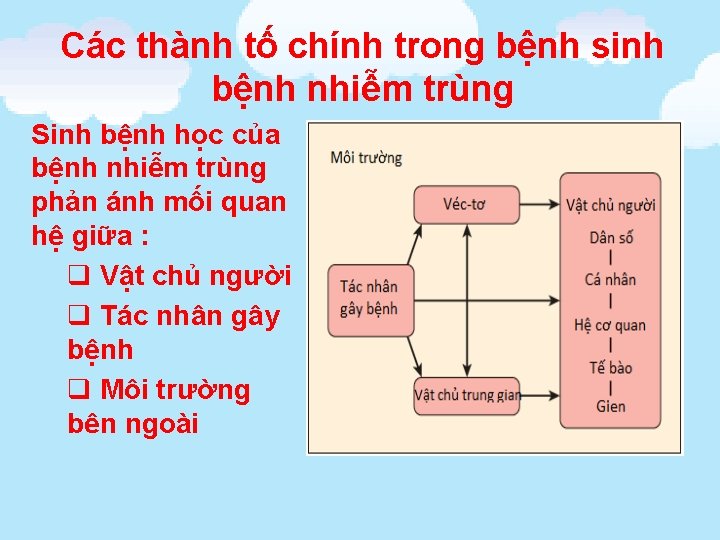 Các thành tố chính trong bệnh sinh bệnh nhiễm trùng Sinh bệnh học của