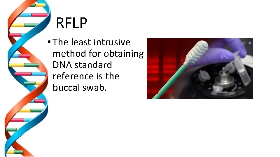 RFLP • The least intrusive method for obtaining DNA standard reference is the buccal