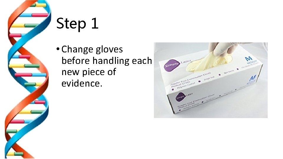 Step 1 • Change gloves before handling each new piece of evidence. 