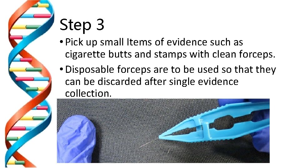 Step 3 • Pick up small Items of evidence such as cigarette butts and