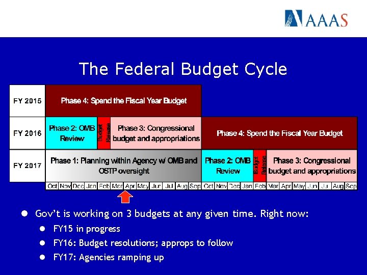 The Federal Budget Cycle l Gov’t is working on 3 budgets at any given