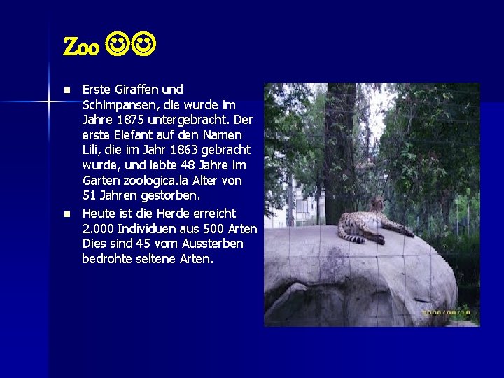 Zoo n n Erste Giraffen und Schimpansen, die wurde im Jahre 1875 untergebracht. Der