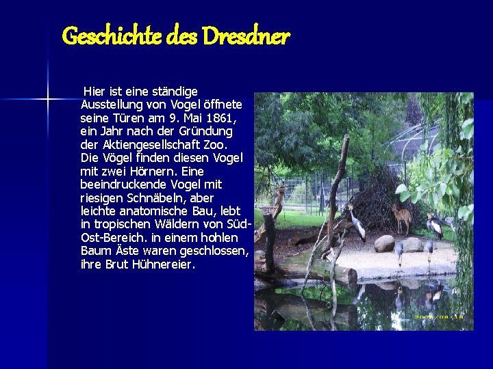 Geschichte des Dresdner Hier ist eine ständige Ausstellung von Vogel öffnete seine Türen am