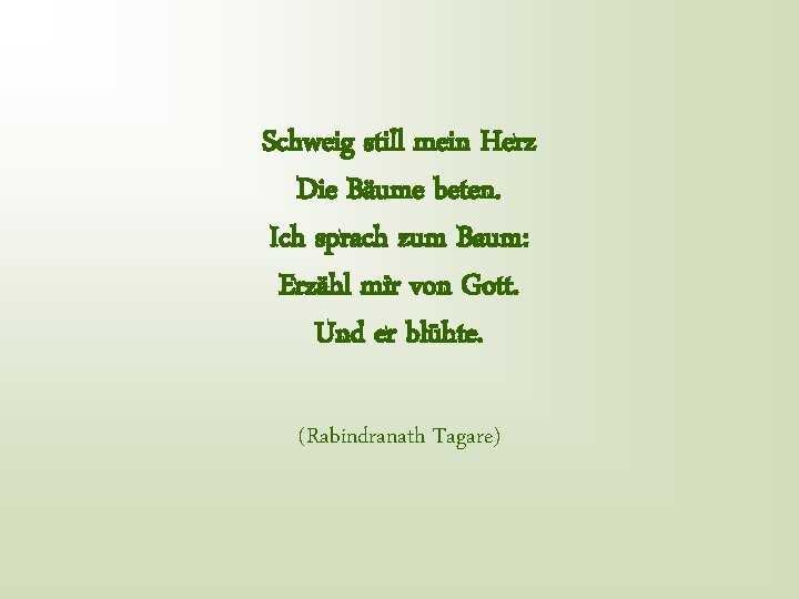 Schweig still mein Herz Die Bäume beten. Ich sprach zum Baum: Erzähl mir von