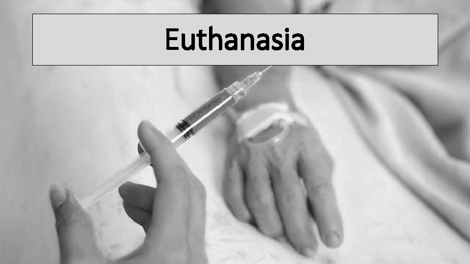 Euthanasia 