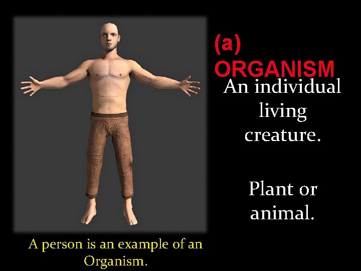 (a) ORGANISM An individual living creature. Plant or animal. A person is an example