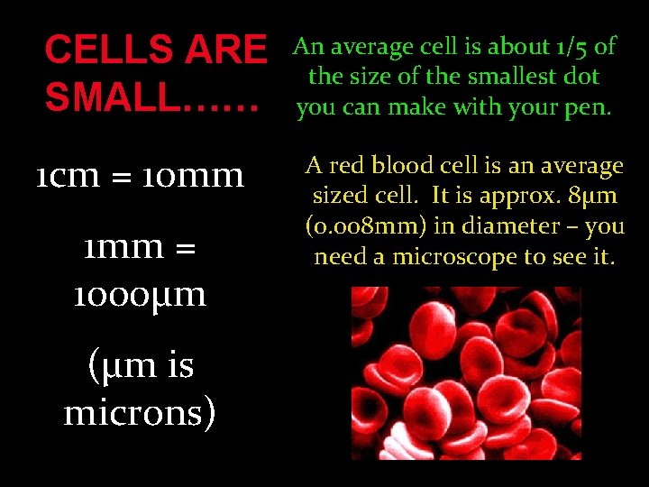 CELLS ARE SMALL…… 1 cm = 10 mm 1 mm = 1000µm (µm is