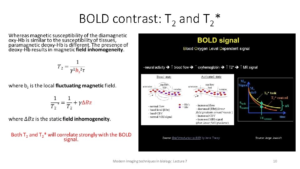 BOLD contrast: T 2 and T 2* • Modern imaging techniques in biology: Lecture
