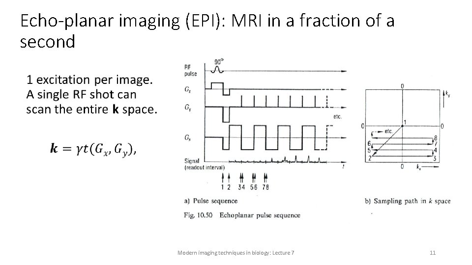 Echo-planar imaging (EPI): MRI in a fraction of a second • Modern imaging techniques