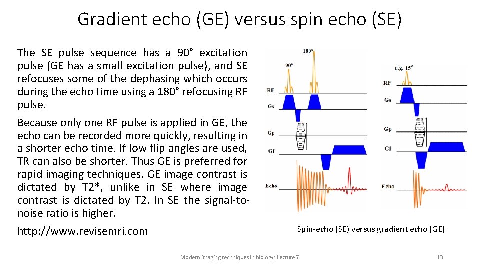 Gradient echo (GE) versus spin echo (SE) The SE pulse sequence has a 90°