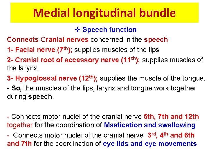 Medial longitudinal bundle v Speech function Connects Cranial nerves concerned in the speech; 1