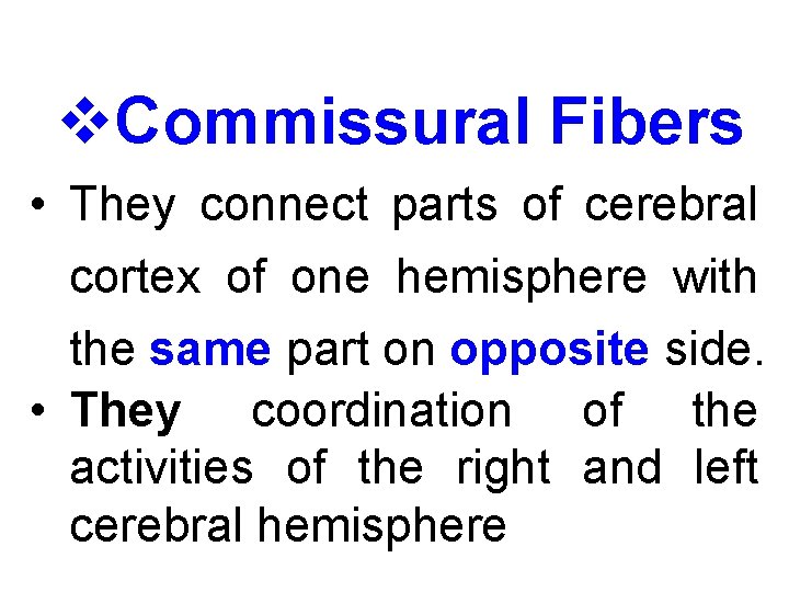 v. Commissural Fibers • They connect parts of cerebral cortex of one hemisphere with