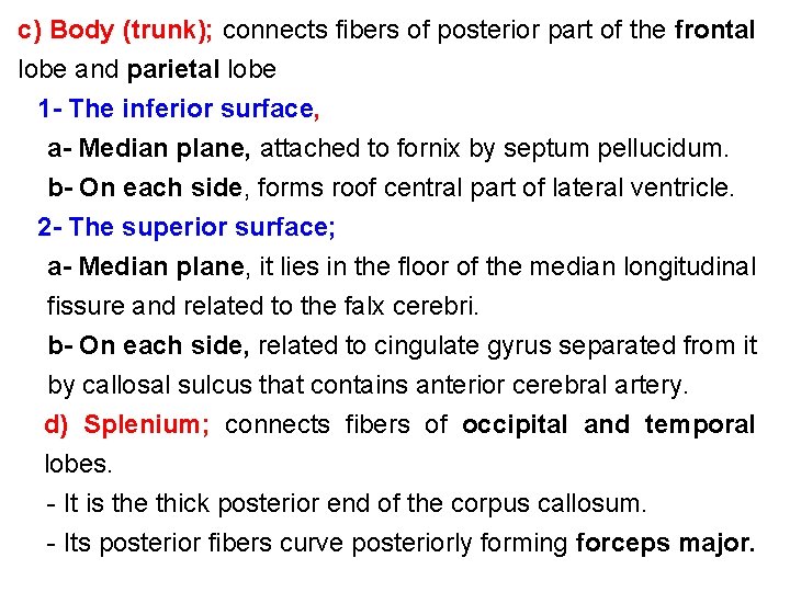 c) Body (trunk); connects fibers of posterior part of the frontal lobe and parietal