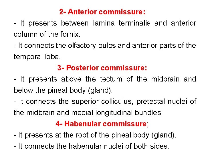 2 - Anterior commissure: It presents between lamina terminalis and anterior column of the