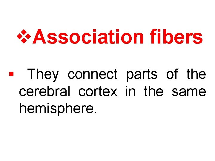 v. Association fibers § They connect parts of the cerebral cortex in the same