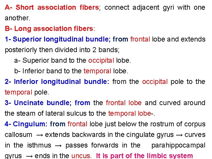 A- Short association fibers; connect adjacent gyri with one another. B- Long association fibers: