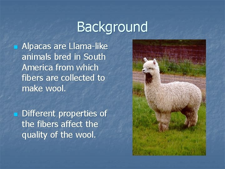 Background n n Alpacas are Llama-like animals bred in South America from which fibers